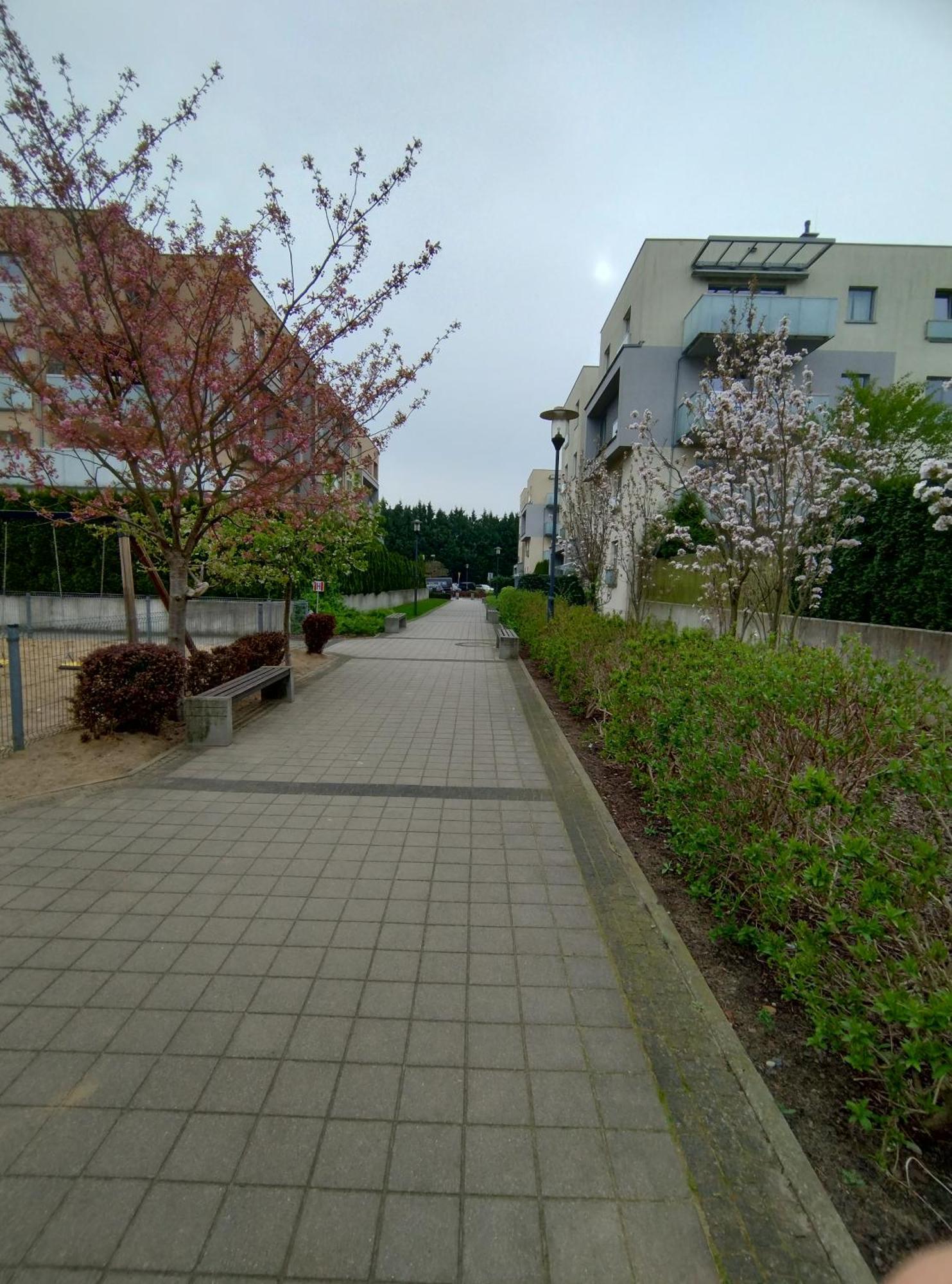 Apartament 1E Barbakan Szczecin Ngoại thất bức ảnh